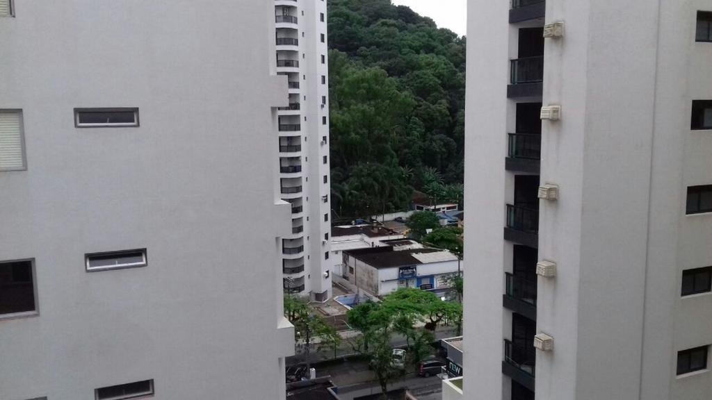 Kit Pitangueiras Apartamento *